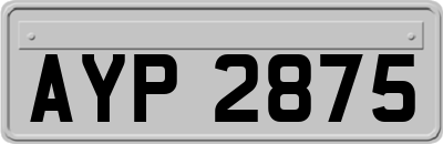 AYP2875