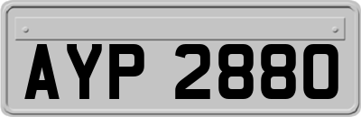 AYP2880