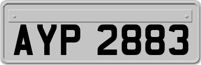 AYP2883