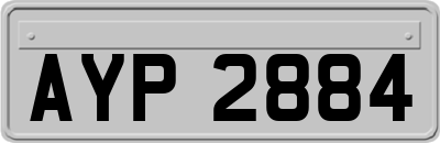AYP2884