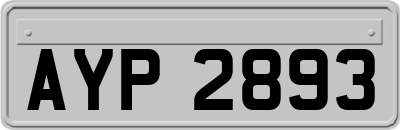 AYP2893