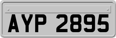 AYP2895