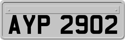 AYP2902