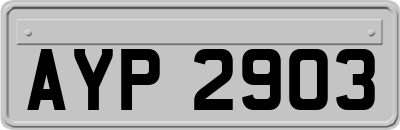 AYP2903