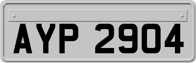 AYP2904