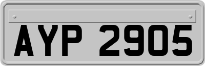 AYP2905