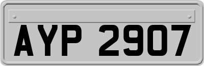 AYP2907