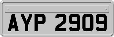 AYP2909