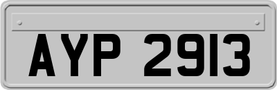 AYP2913