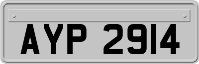 AYP2914