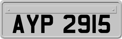 AYP2915