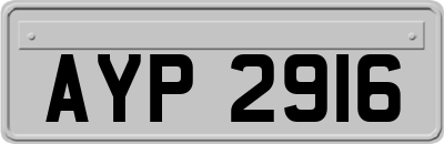 AYP2916