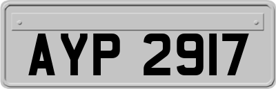 AYP2917