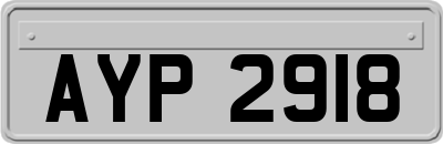 AYP2918