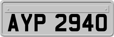 AYP2940