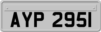 AYP2951