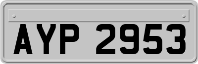 AYP2953