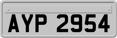 AYP2954
