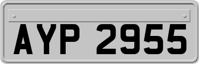 AYP2955