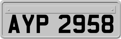 AYP2958