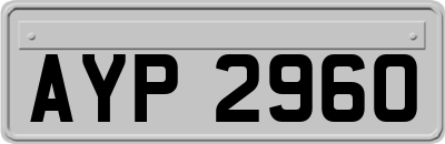 AYP2960