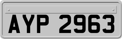 AYP2963