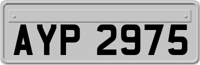 AYP2975