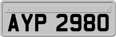 AYP2980