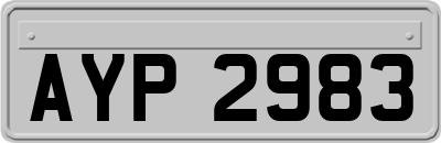 AYP2983