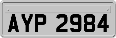 AYP2984