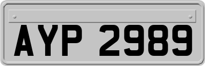 AYP2989