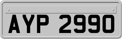 AYP2990