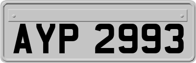 AYP2993