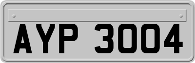 AYP3004