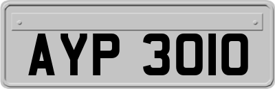 AYP3010