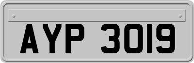 AYP3019