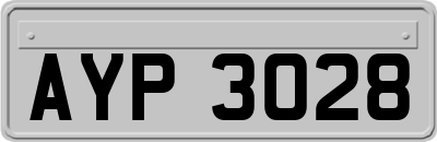 AYP3028