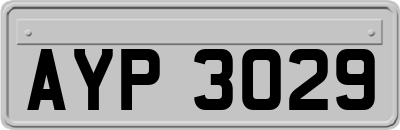 AYP3029