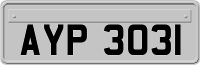 AYP3031