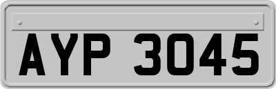 AYP3045