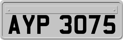 AYP3075