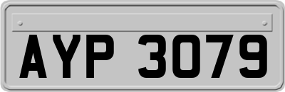 AYP3079