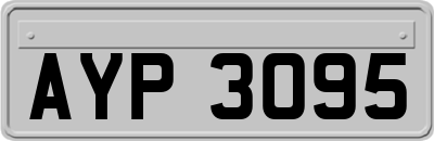 AYP3095