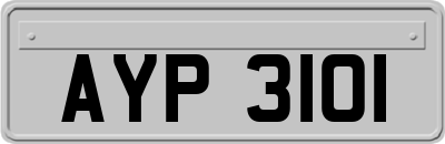 AYP3101