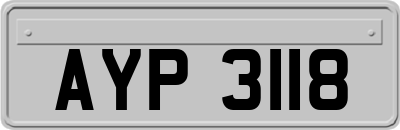 AYP3118