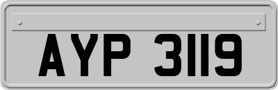 AYP3119