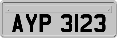 AYP3123