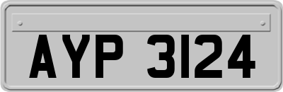 AYP3124
