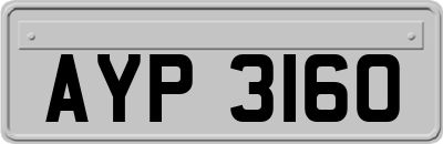 AYP3160