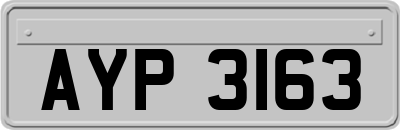 AYP3163